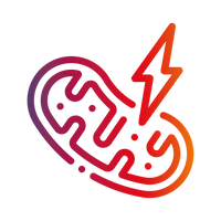 heilys-Icons-84_bee5ff21-eeff-4445-8ad3-19b9437a74f4.png